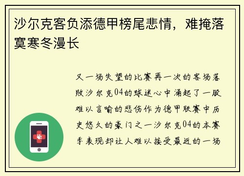 沙尔克客负添德甲榜尾悲情，难掩落寞寒冬漫长