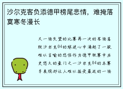 沙尔克客负添德甲榜尾悲情，难掩落寞寒冬漫长